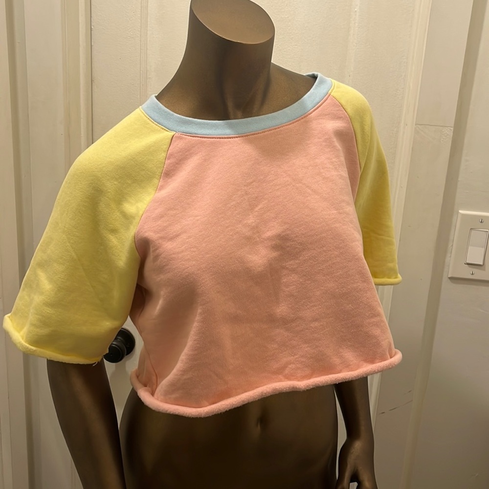 Pastel cropped color blocked sweatshirt